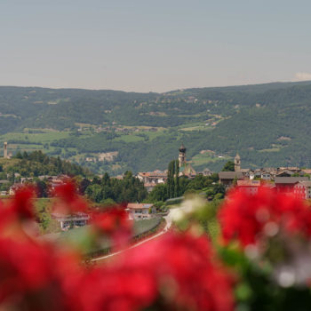 View from the Schartnerhof on Fiè allo Sciliar