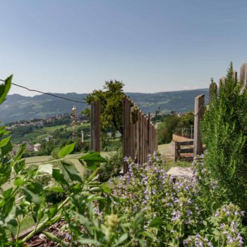 Garden at the Schartnerhof with organic herbs