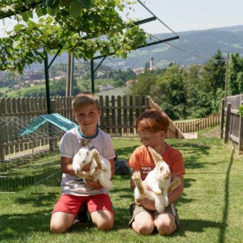 Petting zoo with rabbits