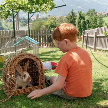 Rabits at the Farm Schartnerhof