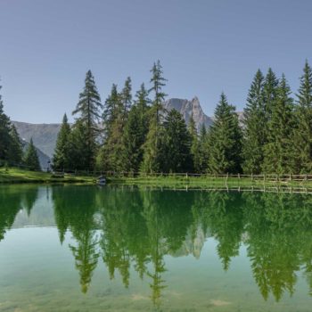 The Marinzen pond near Castelrotto