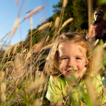 Autumn sun in Fiè allo Sciliar